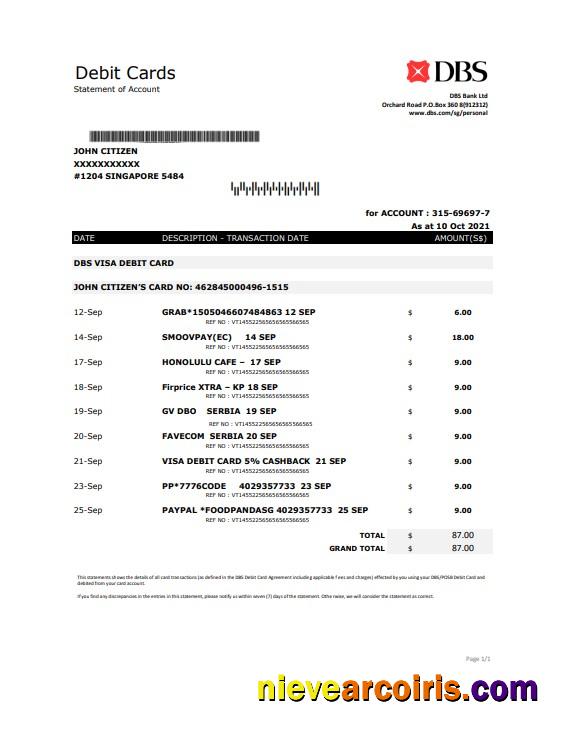 Singapore DBS bank proof of address statement in .xls and .pdf format